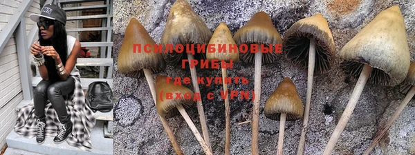 тгк Алзамай
