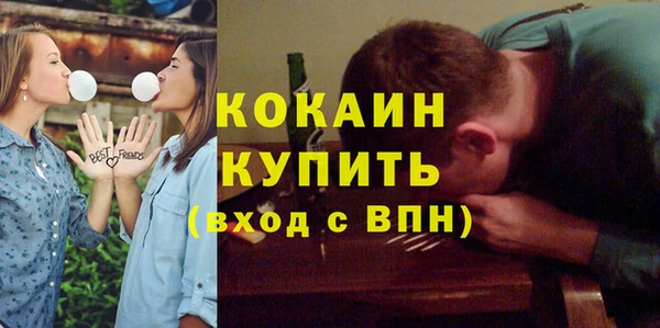 соль ск Алексин